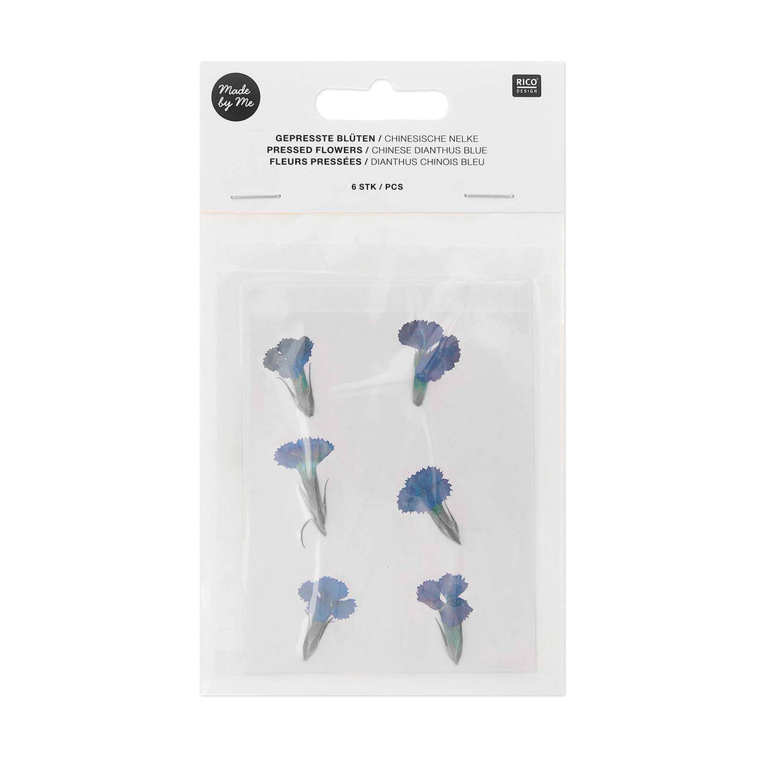 Gepresste Blüten Chinesische Nelke blau 6 Stück
