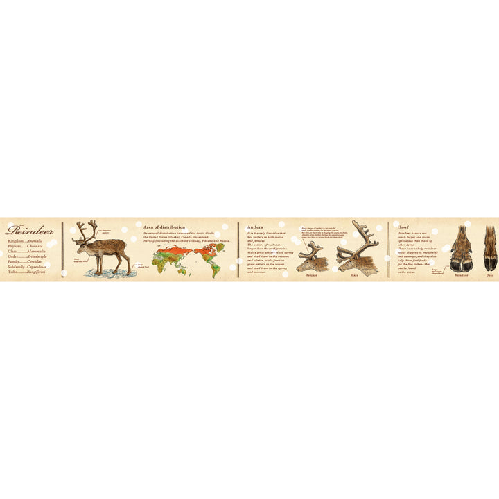 mt Masking Tape Ex Encylopedia Reindeer 30 mm x 7 Meter